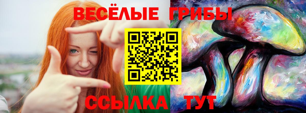 Псилоцибиновые грибы Psilocybe  Вход с VPN  Черняховск  Псилоцибиновые грибы Cubensis 
